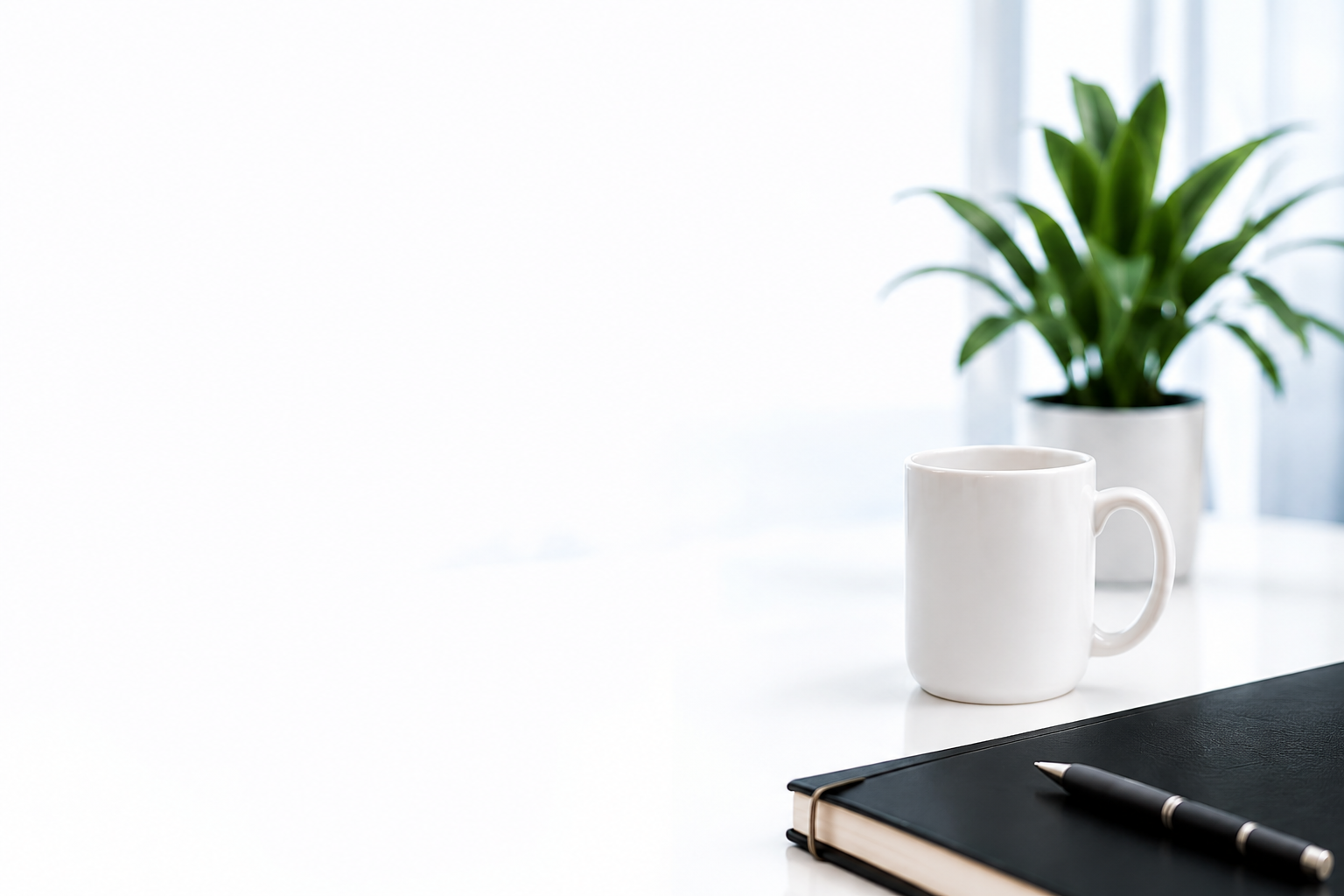 A tidy desk with a plant, a Brandivo mug and a notebook by a window